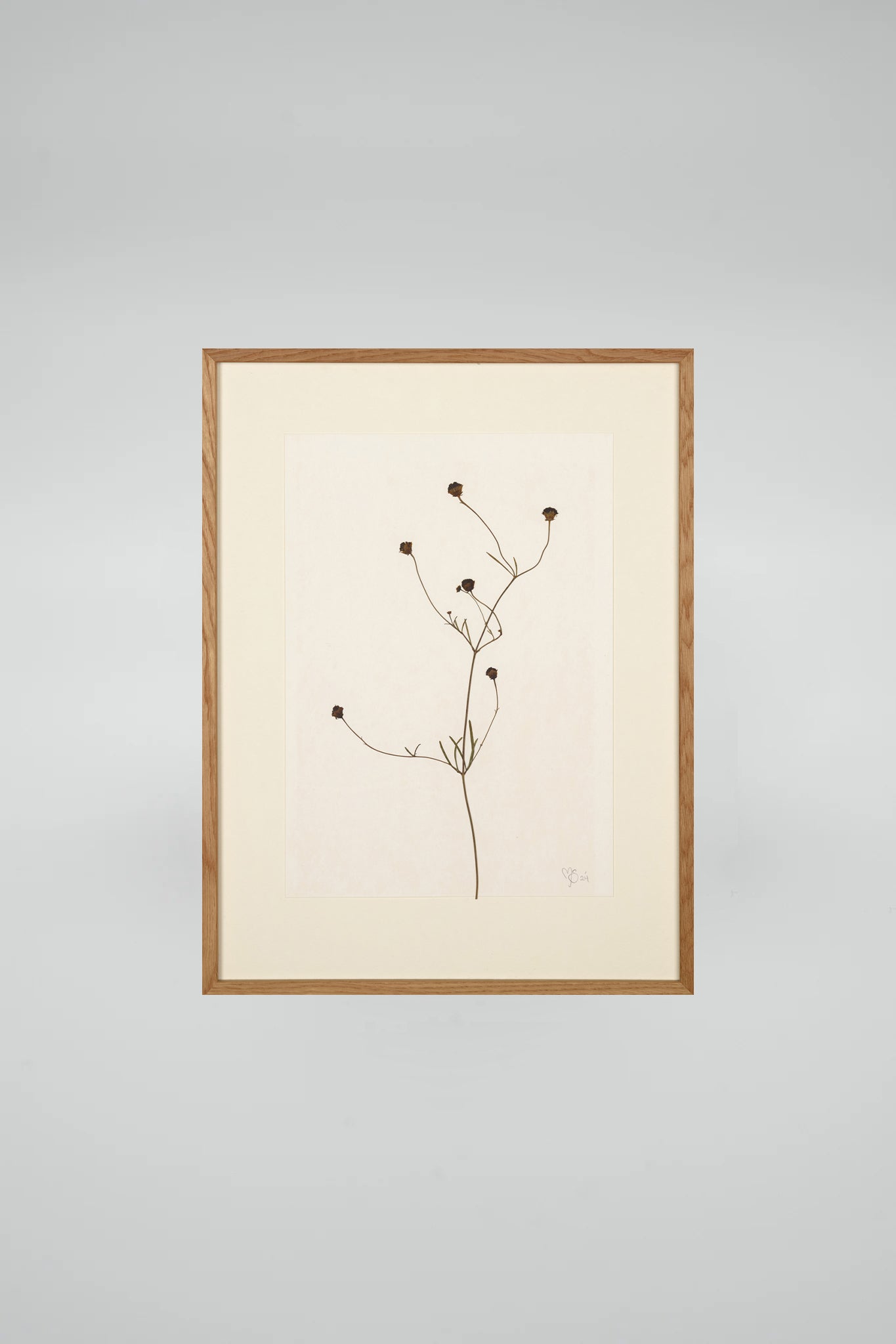 Mette Skjærbæk, Chamomile, Small, 01