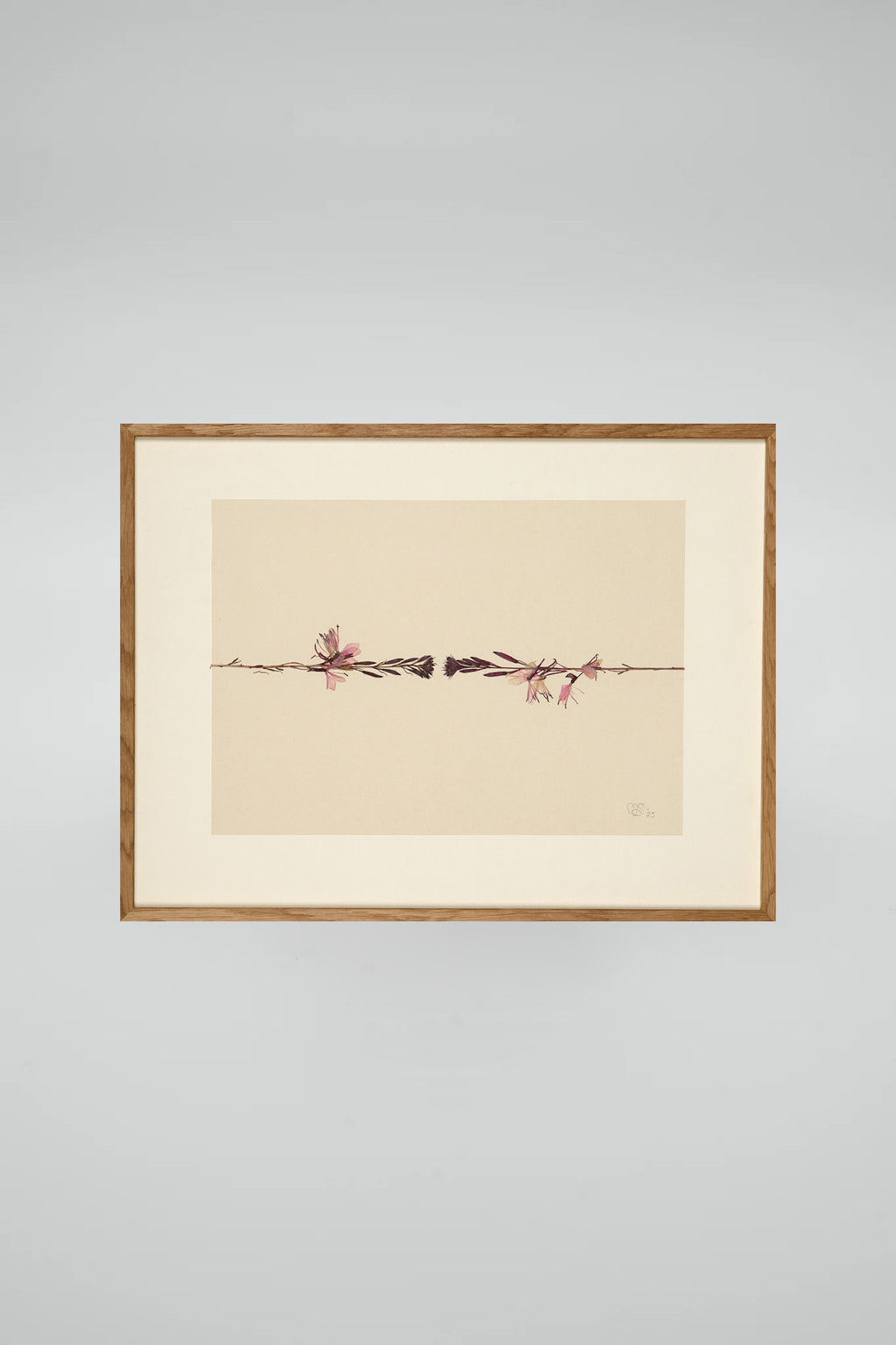 Mette Skjærbæk, Hebarium, Gaura, Small, 01
