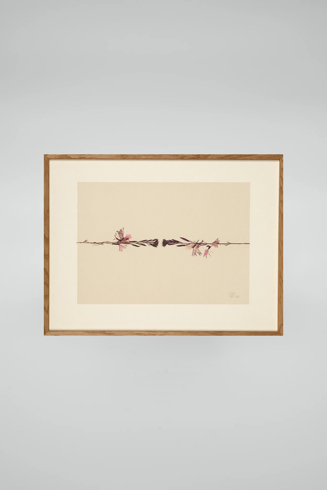 Mette Skjærbæk, Hebarium, Gaura, Small, 01