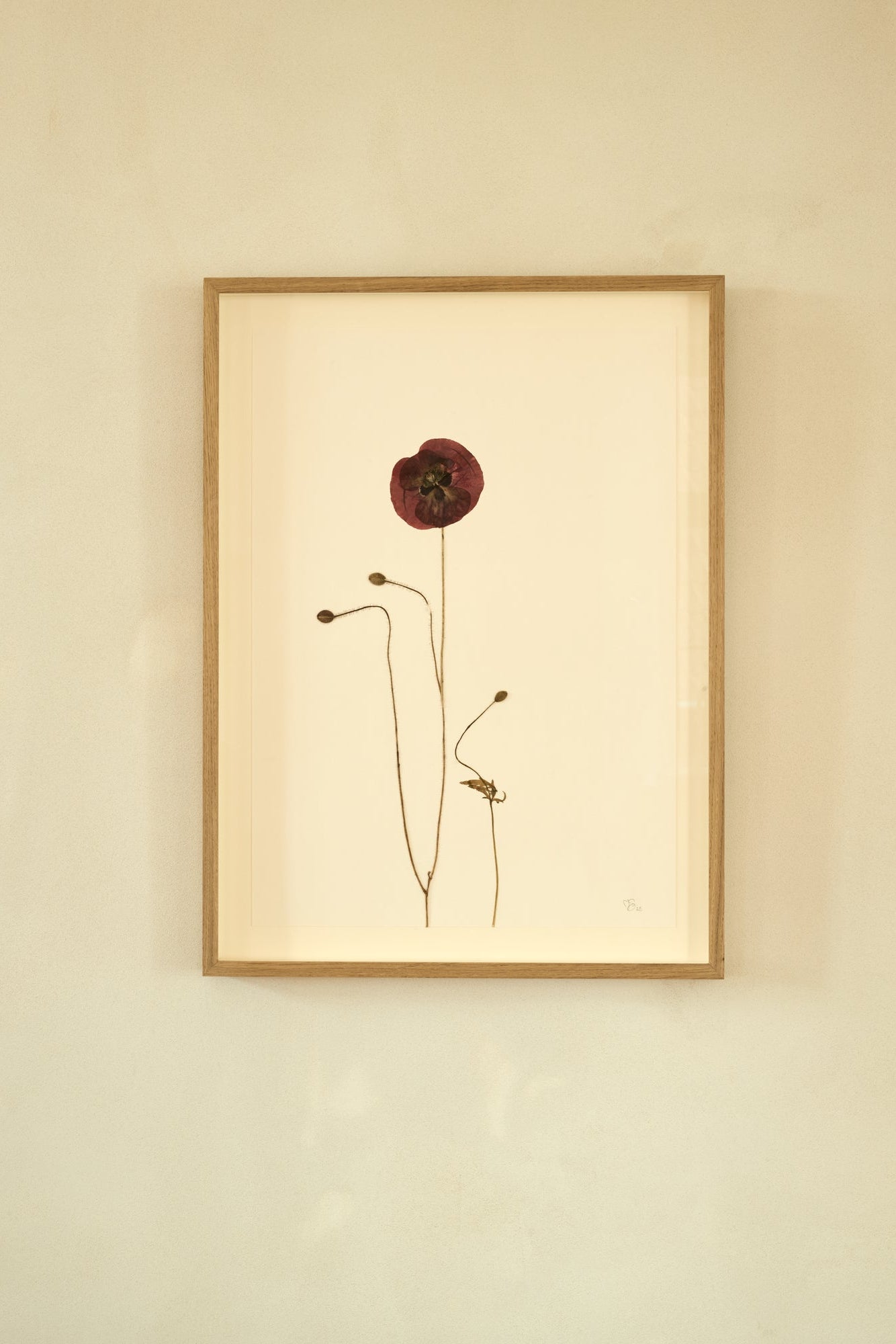 Mette Skjærbæk, Hebarium, Poppy, Large, 01