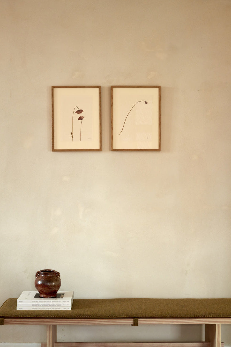 Mette Skjærbæk, Hebarium, Poppy, Small, 01