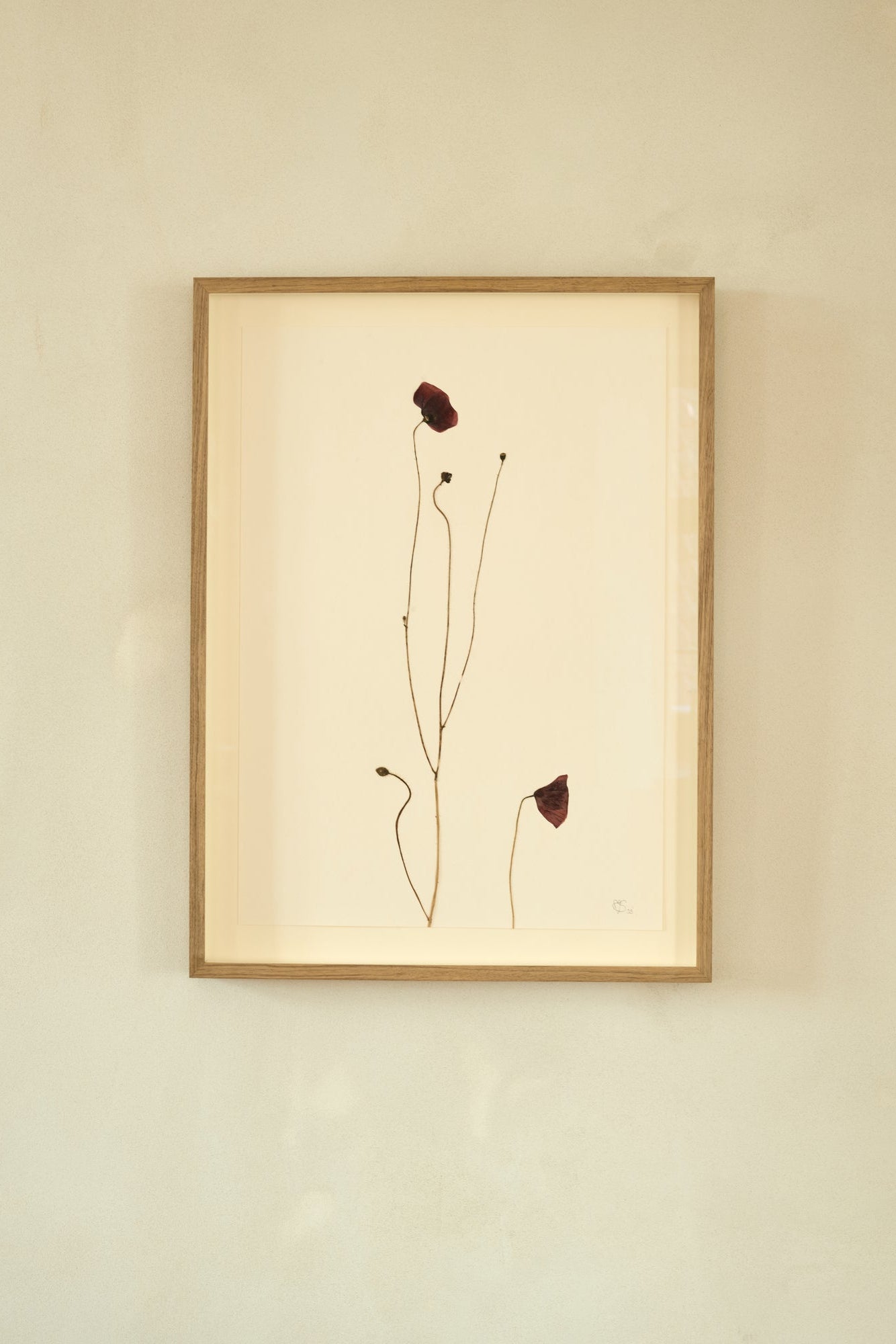 Mette Skjærbæk, Hebarium, Poppy, Large, 02