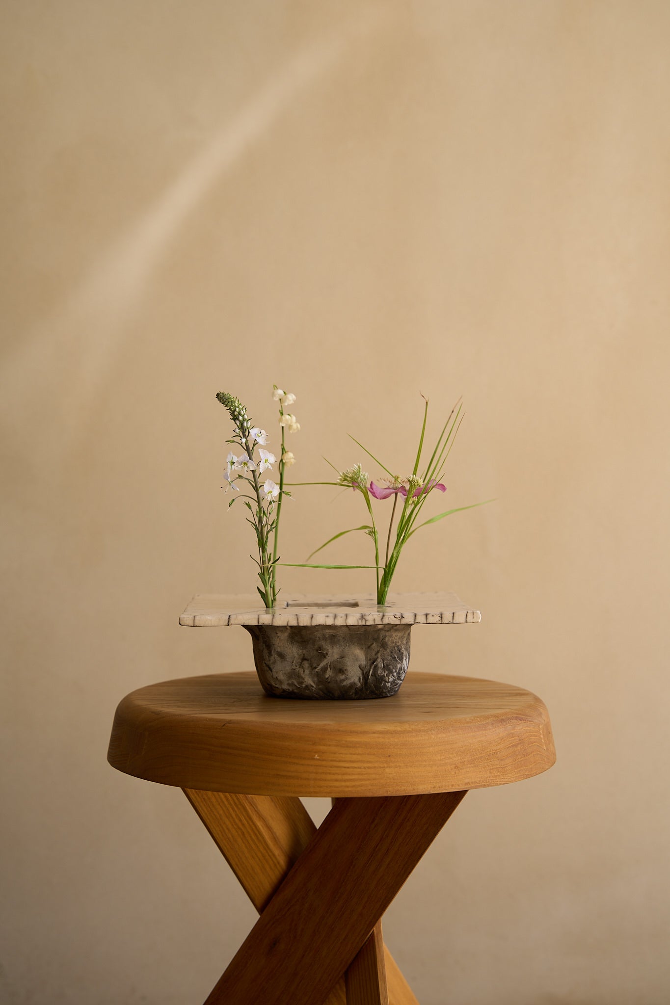 Cécile Daladier, Pique-Fleurs en Plateau, 01