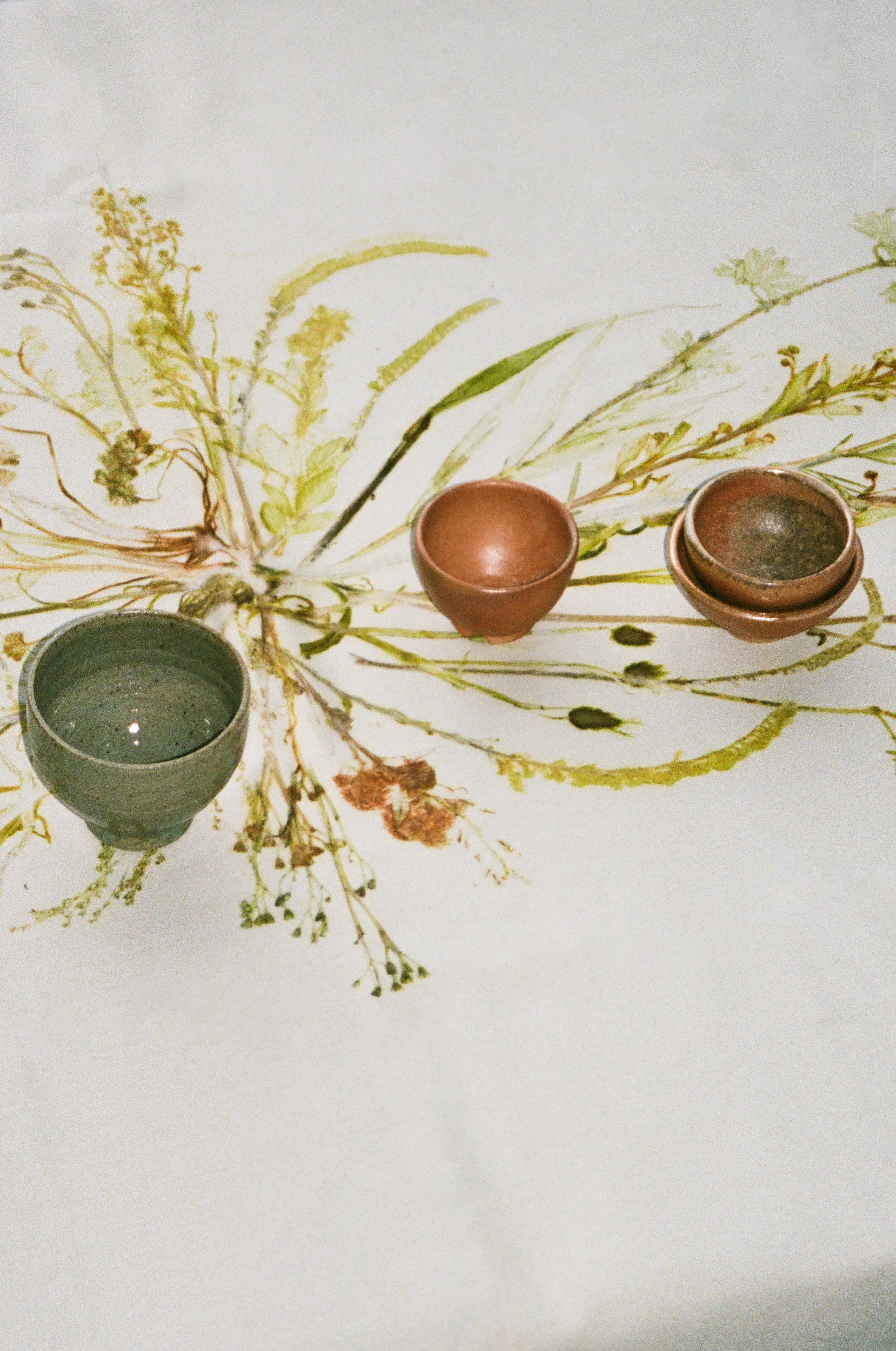 VON LINNÉ, Table Linen, Line of Leaves, Citrus Tones, Large
