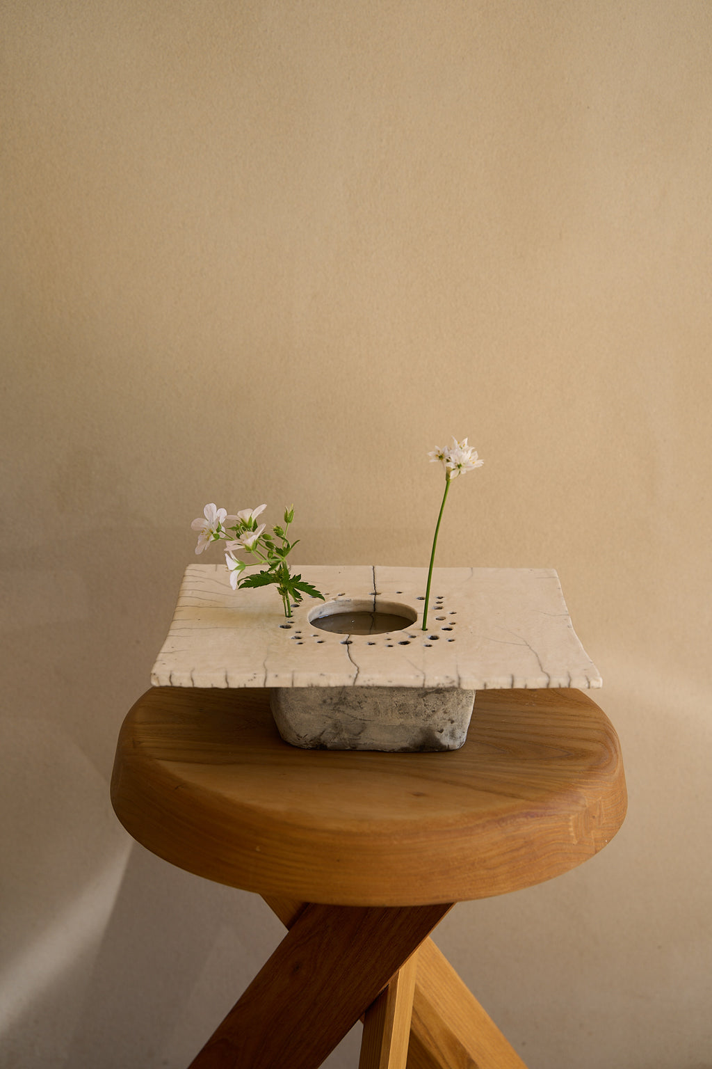 Cécile Daladier, Pique-Fleurs en Plateau, 03