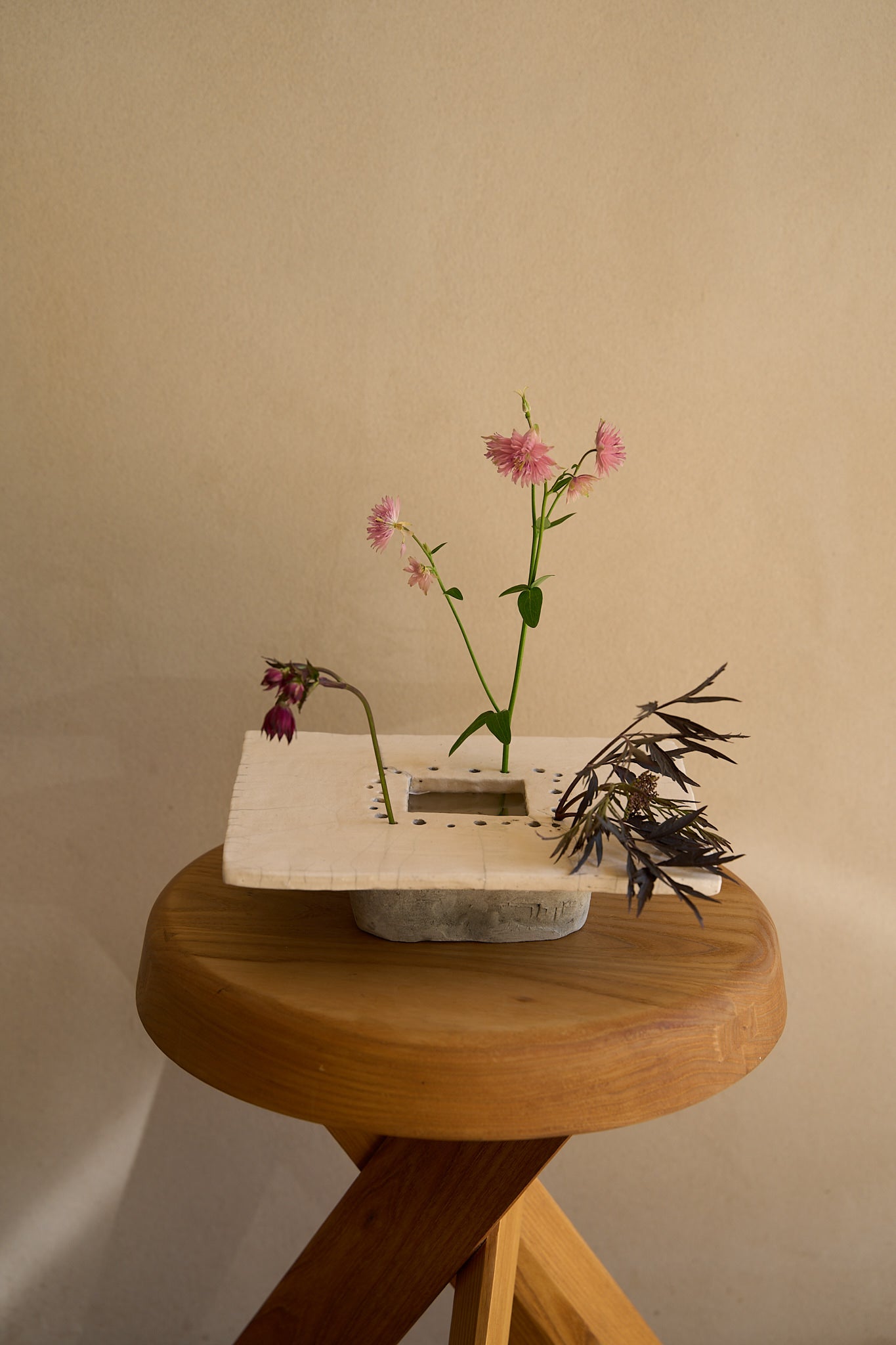 Cécile Daladier, Pique-Fleurs en Plateau, 02