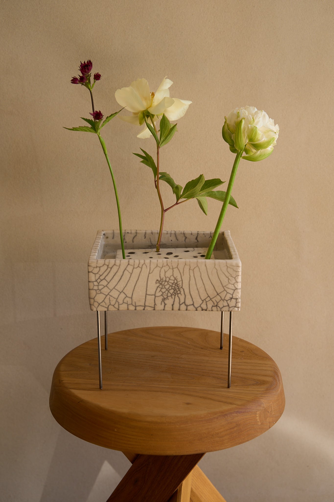Cécile Daladier, Pique-Fleurs-Chapteur, 01