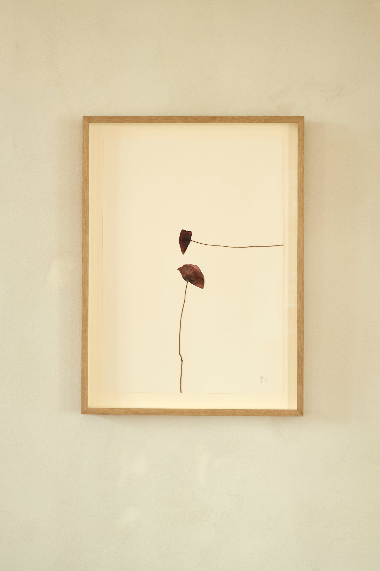 Mette Skjærbæk, Hebarium, Poppy, Large, 03