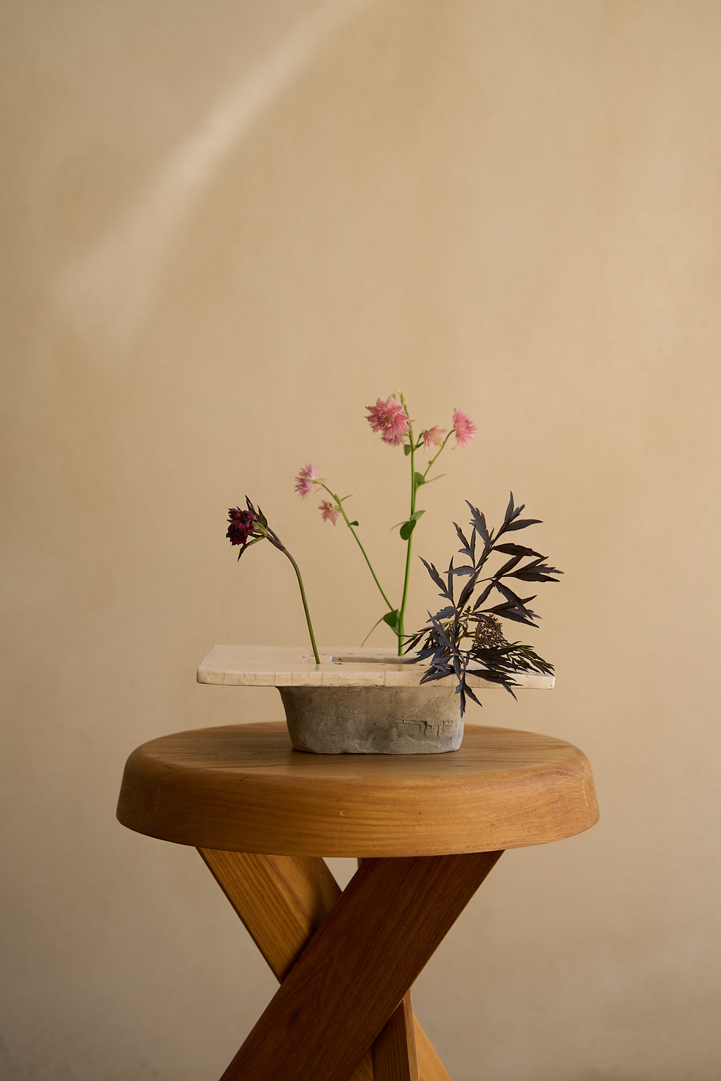 Cécile Daladier, Pique-Fleurs en Plateau, 02