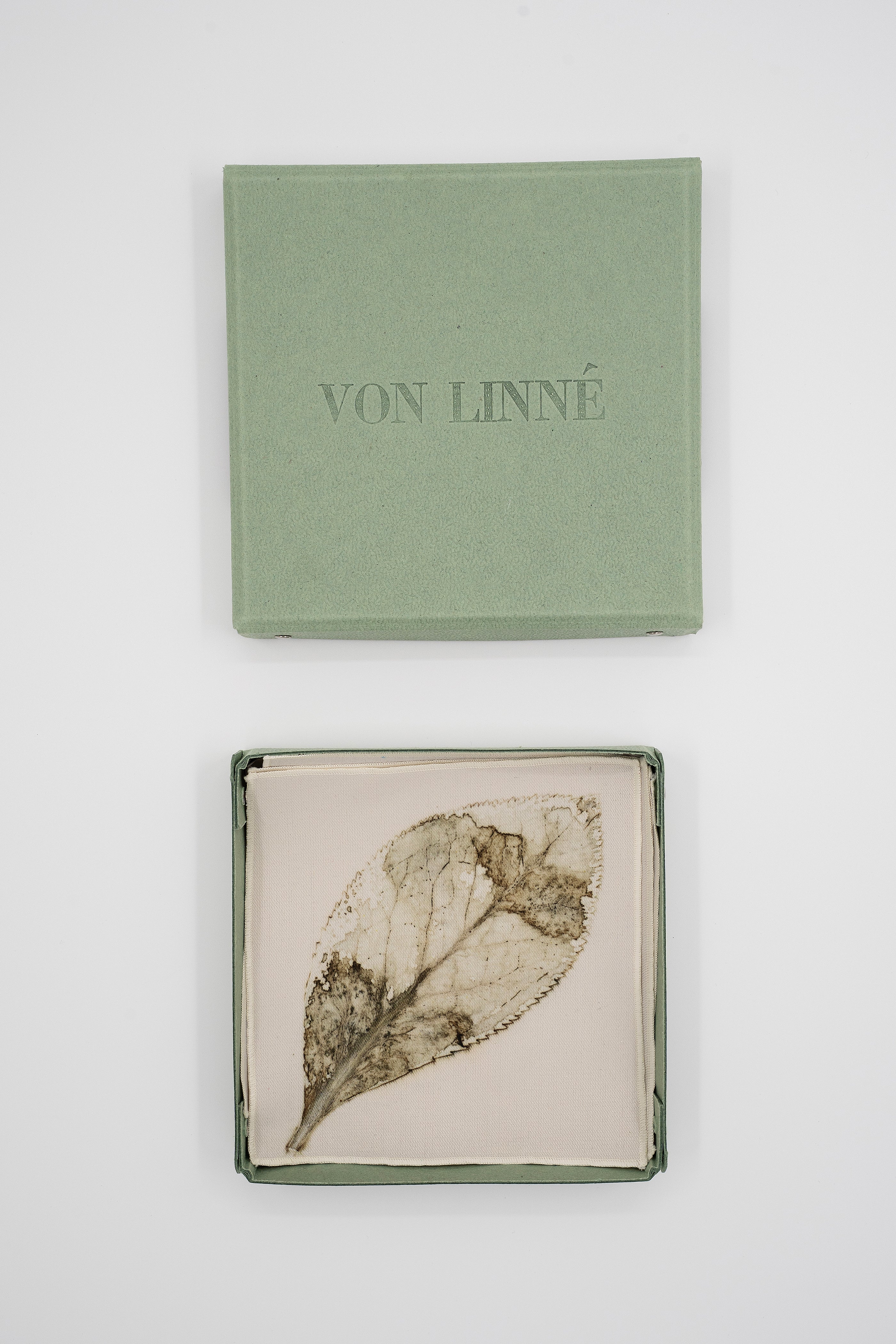VON LINNÉ, Table Linne, Cocktail Napkins, 03