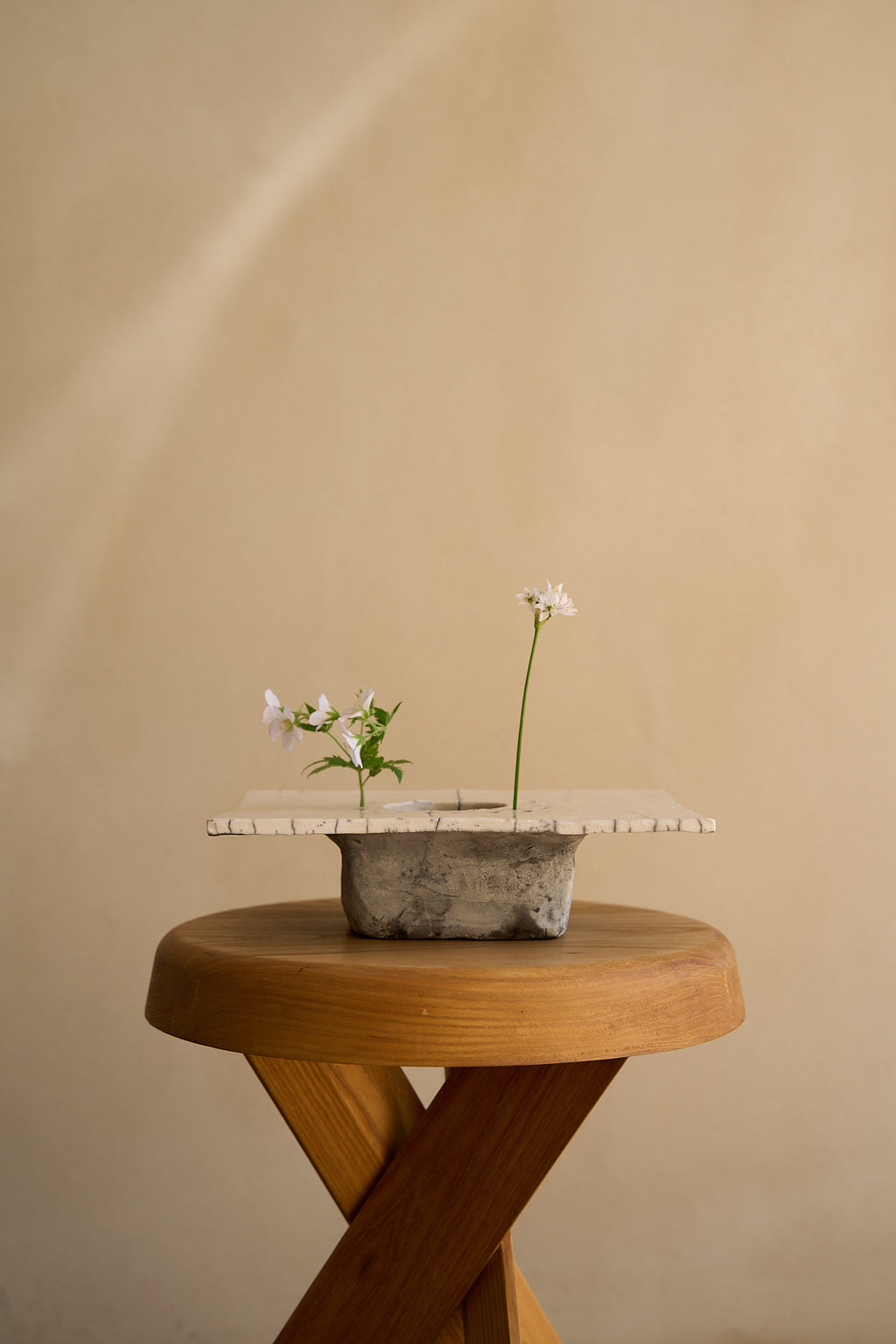 Cécile Daladier, Pique-Fleurs en Plateau, 03