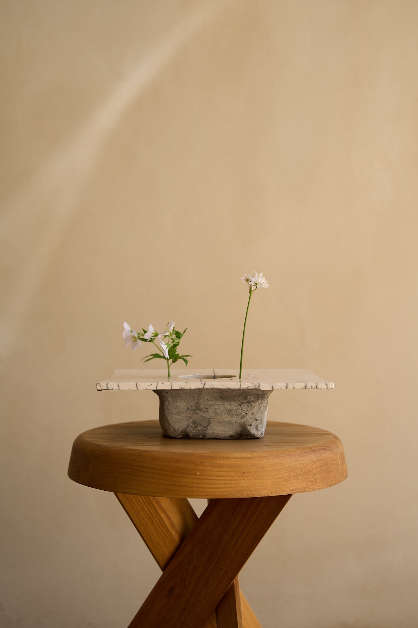 Cécile Daladier, Pique-Fleurs en Plateau, 03